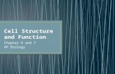 Cell Structure  and Function