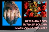 Disseminated intravascular coagulopathy (DIC)