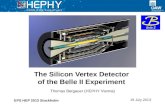 The Silicon Vertex Detector  of the Belle II Experiment