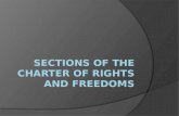 Sections of the Charter of Rights and Freedoms