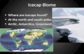 Icecap Biome