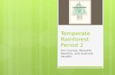 Temperate Rainforest Period 2