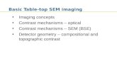 Basic  Table-top SEM  imaging