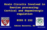 Brain Circuits Involved in Emotion processing: Cortical and dopaminergic  regulation BIOS E 232