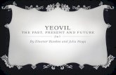 Yeovil the past, present and future