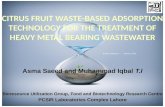 CITRUS FRUIT WASTE-BASED ADSORPTION TECHNOLOGY FOR THE TREATMENT OF HEAVY METAL BEARING WASTEWATER