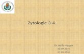 Zytologie  3-4.