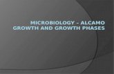Microbiology – Alcamo Growth and Growth Phases
