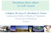 TeraHertz  Kerr  effect  in  GaP crystal
