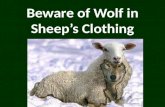 Beware of Wolf in Sheep’s Clothing
