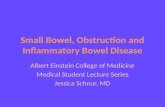 Small Bowel, Obstruction and Inflammatory Bowel Disease