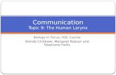 Communication Topic  9: The Human Larynx