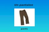 Un  pantalon