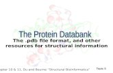 The Protein Databank