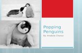 Popping Penguins