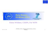 Elena Wildner, CERN, For WP4