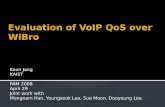 Evaluation of VoIP  QoS  over  WiBro