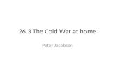 26.3 The Cold War at home