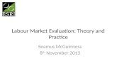 Labour Market Evaluation: Theory and Practice