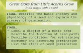 Great Oaks from Little Acorns  Grow It all starts with a seed