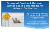 Observed Feedback Between Winter Sea Ice and the North Atlantic  Oscillation
