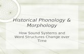Historical Phonology & Morphology