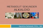 Metabolit sekunder ALKALOID