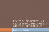 Revision of  Cerebellar  and Cerebral Disorders & Arterial Deficiencies