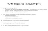 PAMP-triggered immunity (PTI)