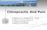 Chiropractic And Pain