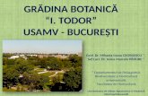 Gr ădina botanică “I. Todor” Usamv - bucureşti