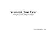 Presentasi Pleno Pakar Blok  Sistem Reproduksi