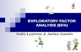 EXPLORATORY FACTOR ANALYSIS (EFA)