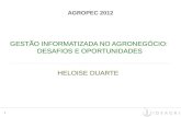 GESTÃO INFORMATIZADA NO AGRONEGÓCIO:  DESAFIOS E OPORTUNIDADES