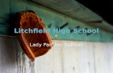 Litchfield High School