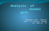 Analysis  of   normal   gait
