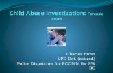 Child Abuse  Investigation:  Forensic Issues