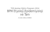 TÜD Asistan Eğitim Programı 2014 BPH  Etyoloji,Epidemiyoloji  ve Tanı