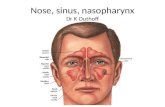 Nose, sinus, nasopharynx Dr K Outhoff