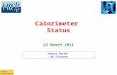 Calorimeter Status