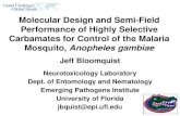 Jeff Bloomquist Neurotoxicology  Laboratory Dept. of Entomology and  Nematology