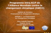 Programme Intra-ACP de  l’Alliance Mondiale contre  le  changement climatique  (AMCC)