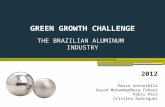 GREEN GROWTH  CHALLENGE THE  BRAZILIAN ALUMINUM  INDUSTRY