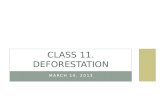 Class 11. Deforestation