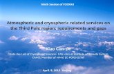 Atmospheric and  cryospheric  related services on the Third Pole region: requirements and gaps
