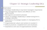 Chapter 12: Strategic Leadership (SL)