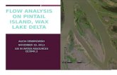 Flow analysis on Pintail island, Wax Lake  D elta