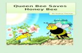 Queen  Bee Saves  Honey  Bee