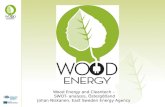 Wood Energy and Cleantech –  SWOT- analysis, Östergötland