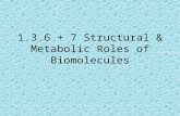1.3.6 + 7 Structural & Metabolic Roles of Biomolecules